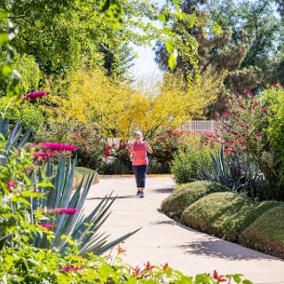 A serene pathway through a vibrant garden filled with colorful flowers, inviting a peaceful stroll.