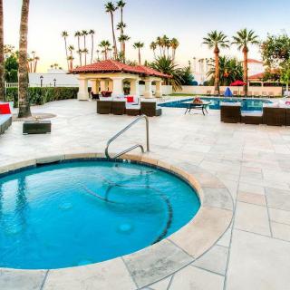 An inviting outdoor pool area surrounded by palm trees and comfortable lounging spaces.