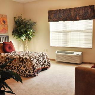 A cozy bedroom with a neatly made bed, decorative pillows, a large window, and indoor plants enhancing the warm atmosphere.