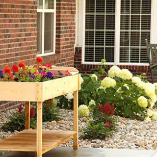 A charming garden with a wooden planter and vibrant flowers against a brick wall.