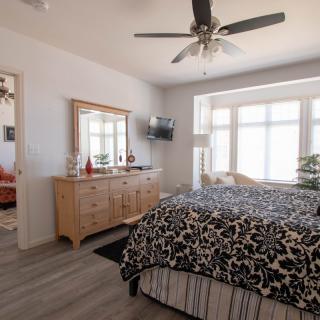 A modern bedroom with a large bed, dresser, ceiling fan, and a bright window.