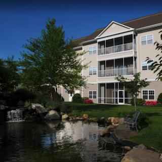 A serene apartment complex surrounded by lush greenery and a tranquil water feature.