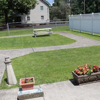 A serene outdoor park featuring a grassy area, a bench, and flower pots along the pathway.