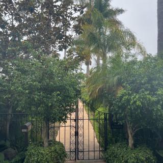 A gated pathway surrounded by lush greenery and palm trees.
