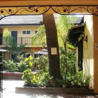 A charming courtyard with lush greenery and a palm tree, surrounded by a two-story building with balconies.
