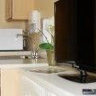 A kitchen countertop with a sink, microwave, and a small plant.