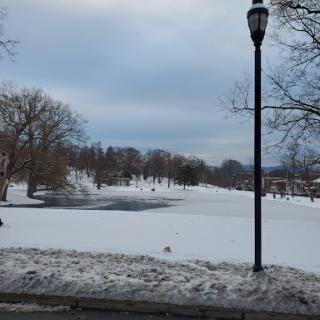 A serene winter scene with a snow-covered park and a frozen pond under a cloudy sky.