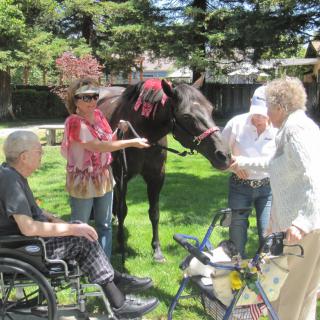 A group of people, including seniors and a person in a wheelchair, interact with a horse in a park setting.