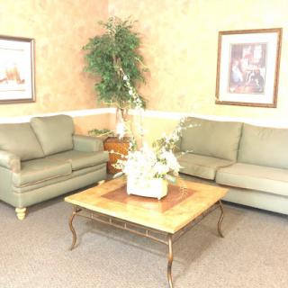 A cozy living room setup featuring green sofas, a wooden coffee table, and decorative elements.