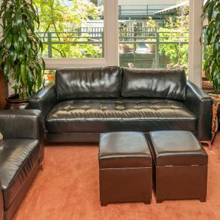 A cozy living room featuring a black leather sofa and matching ottomans, surrounded by green plants and bright natural light from large windows.