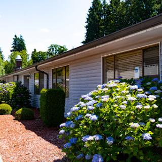 A charming residential area with vibrant blue hydrangeas blooming beside a well-maintained home under clear skies.