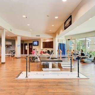 A modern physical therapy and rehabilitation space designed for fitness and recovery.
