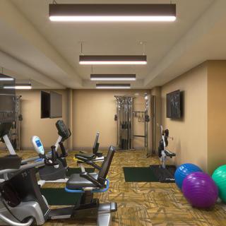 A well-equipped gym with treadmills, exercise bikes, and stability balls in a spacious indoor setting.