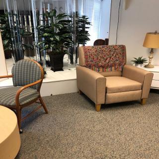 A cozy lounge area featuring a comfortable armchair, decorative plants, and a table lamp.