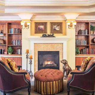 A cozy living room with a fireplace, surrounded by bookshelves and elegant armchairs.