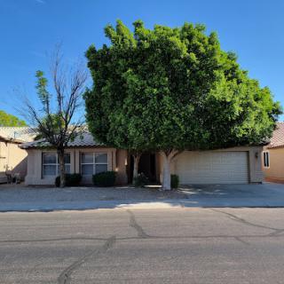 A charming suburban home with a large tree in the front yard on a clear day.