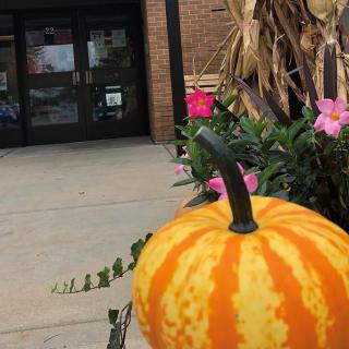 A vibrant striped pumpkin sits amidst flowers, marking the entrance to an inviting building.