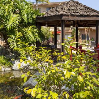 A serene garden scene featuring a wooden gazebo surrounded by lush greenery and a tranquil pond.