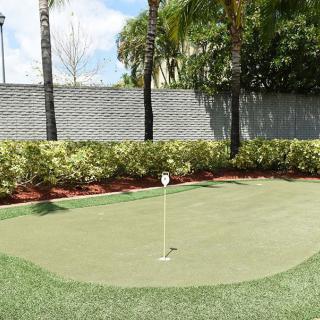 A small outdoor putting green with a flagstick, surrounded by palm trees and landscaping.