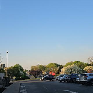 A sunny day view of a parking lot surrounded by trees.