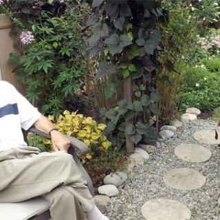 A man relaxing in a garden surrounded by plants and a stone pathway.