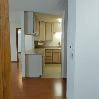 Modern kitchen with wooden floors and light cabinetry.