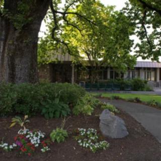 A serene garden scene with a large tree, colorful flowers, and a winding pathway.