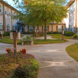 A peaceful courtyard with a winding walkway surrounded by trees and an apartment complex.
