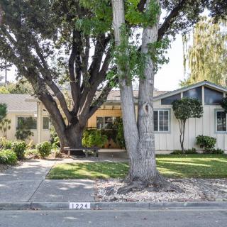 A suburban house with a large tree in the front yard and a well-maintained sidewalk.