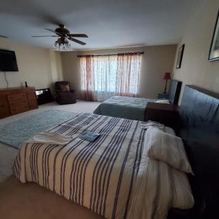 A cozy bedroom featuring two beds with striped bedding, an armchair, and a TV, illuminated by natural light through the window.