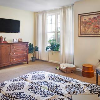 A cozy living room with a TV mounted on the wall, a wooden dresser, decorative plants by the window, and a patterned rug.