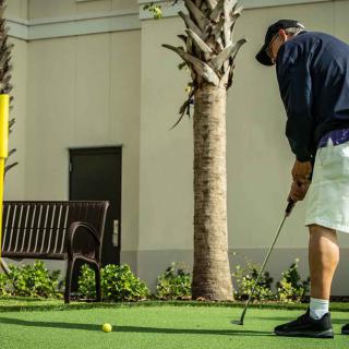 A person practicing putting on an outdoor green, near a bench and palm tree.
