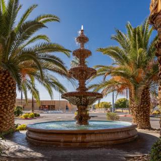 A decorative fountain surrounded by palm trees under a clear blue sky.