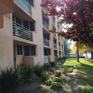 An exterior view of an apartment building with balconies and landscaped surroundings.