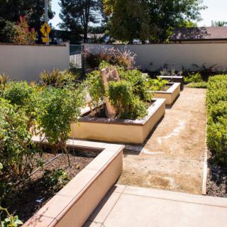 A well-maintained garden with a pathway surrounded by lush greenery.