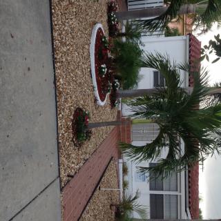 A well-maintained house with a landscaped garden featuring palm trees and a brick pathway.