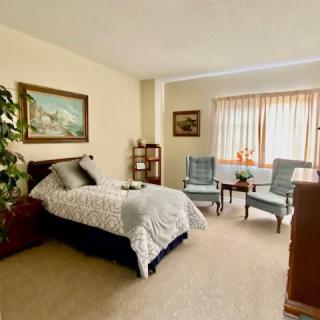 A cozy bedroom featuring a single bed, two armchairs, and decorative elements such as paintings and a potted plant.