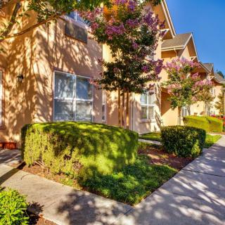 A sunny, tree-lined residential area with well-maintained shrubs and a sidewalk.