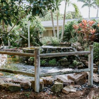 A serene garden featuring a small pond with a cascading waterfall surrounded by lush plants and a rustic wooden fence.