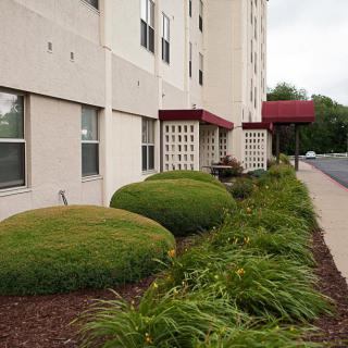Exterior of a building with neatly trimmed bushes and a sidewalk.