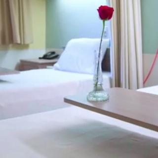 A hospital room with a bed and a single red rose in a vase on the table.