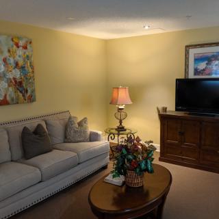 A cozy living room with a sofa, lamp, TV, and decorative elements.