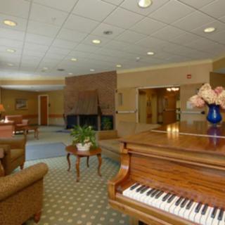 A cozy living room with a grand piano, comfortable seating, and a vase of flowers on display.