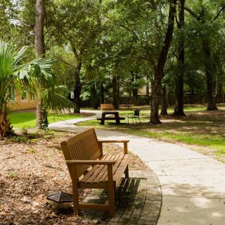 A tranquil park scene featuring a wooden bench along a winding pathway surrounded by lush trees.