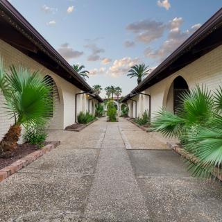A symmetrical courtyard pathway lined with palm trees and bordered by arched buildings.