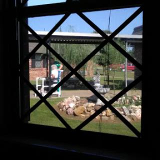 A view through a window showcasing a serene garden with rocks and greenery.