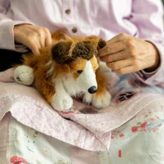 A person gently pets a plush collie dog, creating a warm and cozy atmosphere.