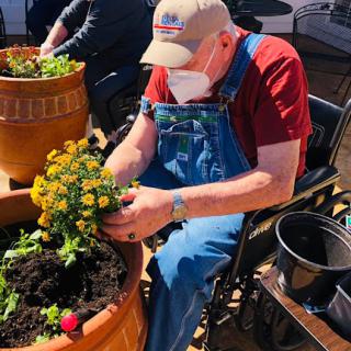 An elderly man in a wheelchair enjoys planting flowers in a pot, embracing the joy of gardening outdoors.