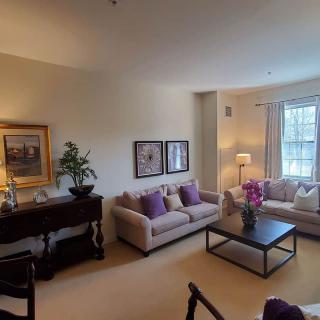 A cozy living room with comfortable sofas, elegant decor, and natural lighting.