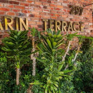 A brick wall adorned with lush greenery and a gold-colored sign.